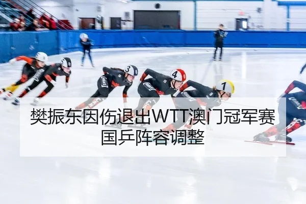 樊振东因伤退出WTT澳门冠军赛国乒阵容调整