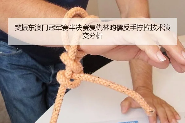 樊振东澳门冠军赛半决赛复仇林昀儒反手拧拉技术演变分析
